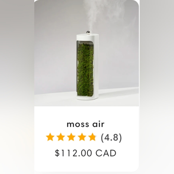 Moss Air Humidifier and Air Purifier - Picture 1 of 6